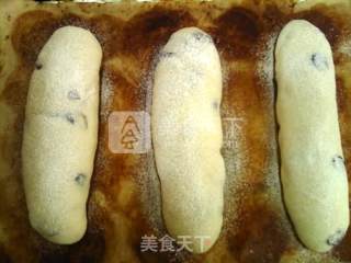 Cranberry Cheese Bun recipe