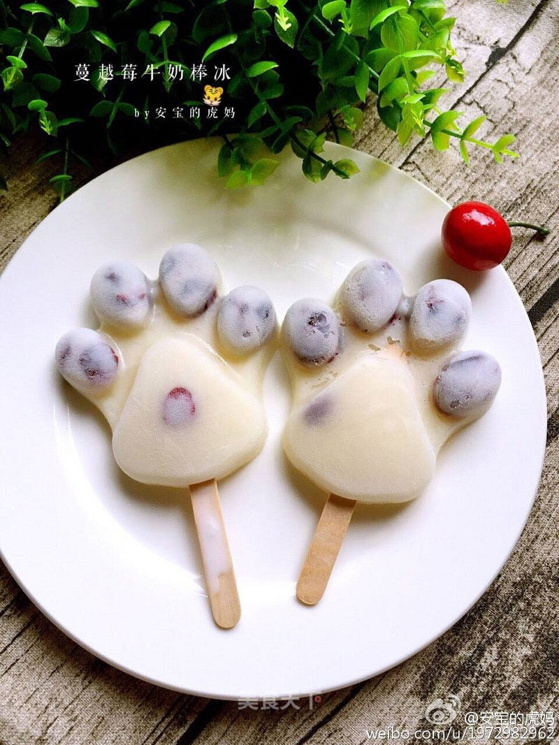 Cranberry Milk Pops recipe