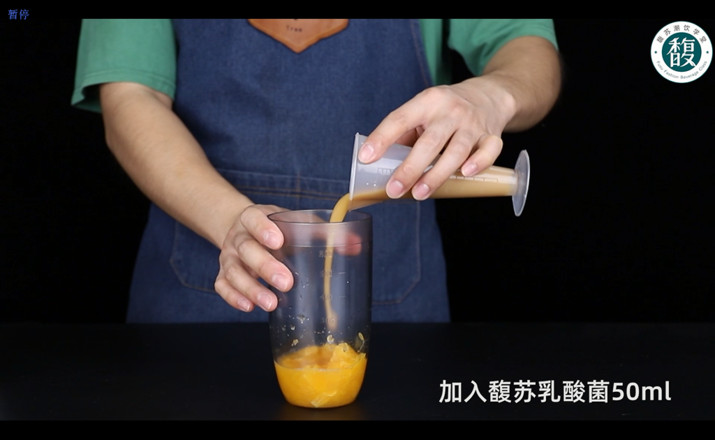 Fresh Orange Juice Lactobacillus recipe