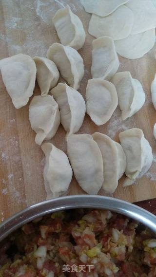 Cabbage and Sea Rice Dumplings recipe