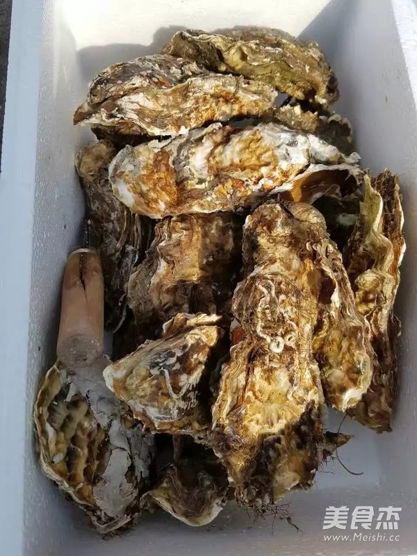 Grilled Oysters, Fresh! ! ! recipe