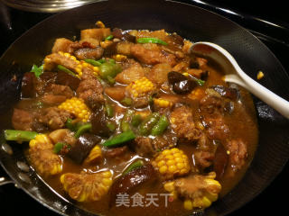 #trust之美# Ribs Stewed Randomly recipe