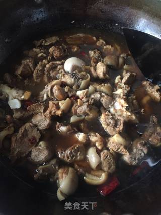 Lamb Braised Radish recipe