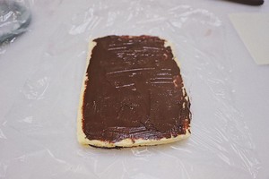 Chocolate Melaleuca Scam recipe