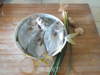 Fresh Sea Pomfret Soup recipe