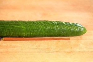 Cucumber Dragon recipe