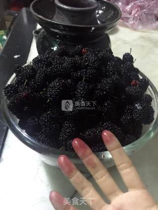 Mulberry Wine recipe
