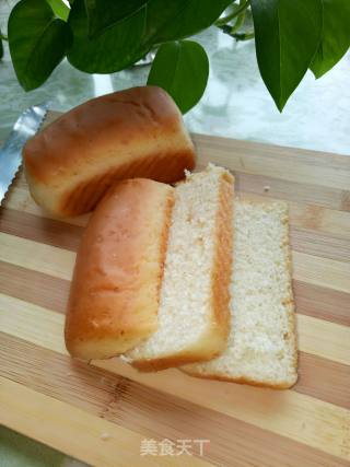 Whole Wheat Bread Sandwich recipe