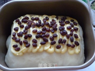 Honey Bean Mexican Loaf recipe