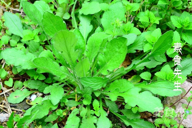 Let's Enjoy The Pan-fried Sage recipe