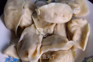 Fried Egg Dumplings recipe