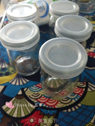 Homemade Yogurt recipe