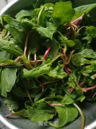 Radish Salad recipe