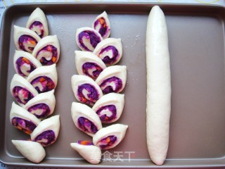 # Fourth Baking Contest and is Love to Eat Festival# Purple Sweet Potato Wheat Bread recipe