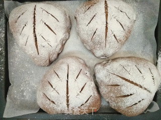 #四session Baking Contest and is Love to Eat Festival# Raisin Cocoa Soft European recipe