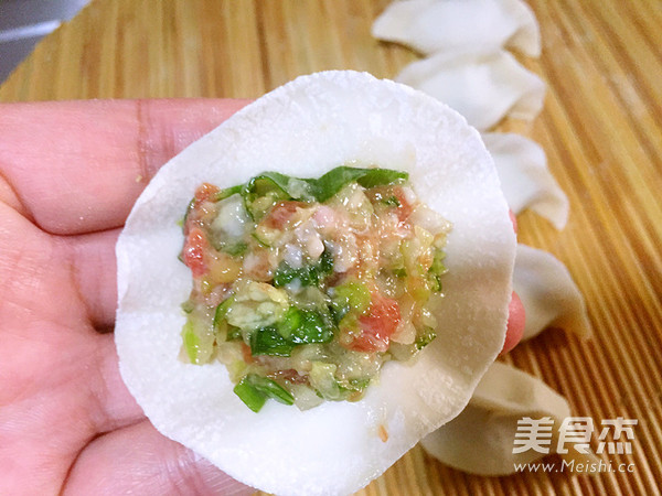Dumplings Stuffed with Pork and Cabbage recipe