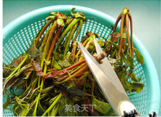 Fried Toon Fish-----spring Fresh recipe