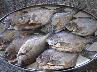 Fried Small Sea Fish with Fennel recipe