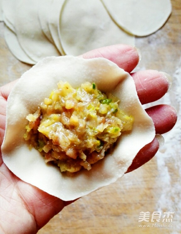 Pork and Cabbage Dumplings (detailed Version Includes Dumpling Kneading Method) recipe