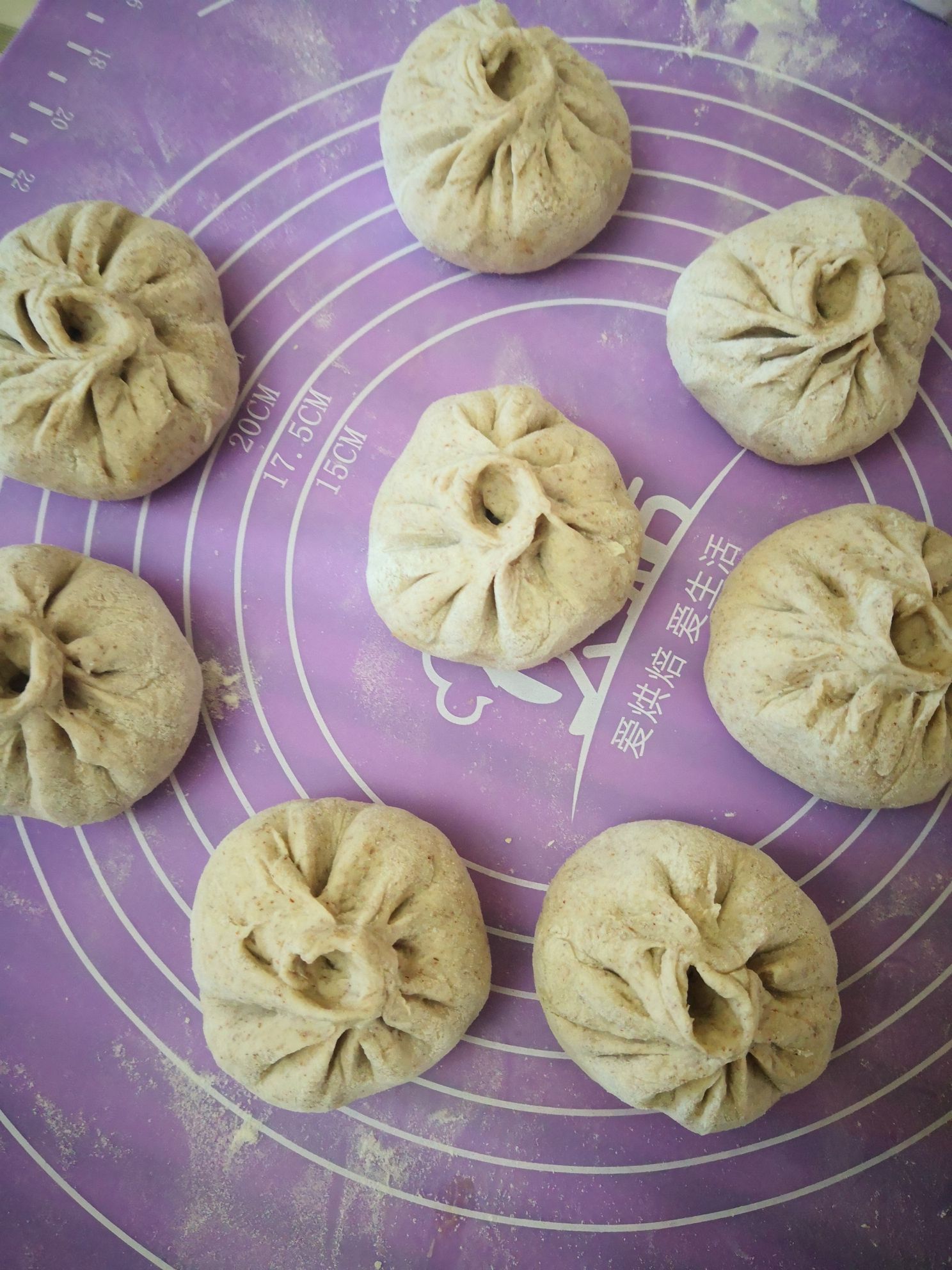 Whole Wheat Meat Buns recipe