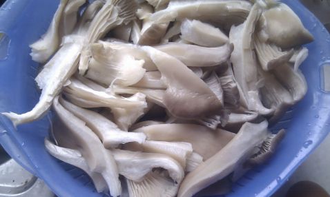 Egg Skin Mushroom Soup recipe