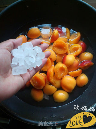 【shandong】apricots in Syrup recipe