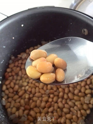 Soybeans Mixed with Red Snow recipe