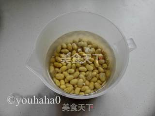 Homemade Natto recipe