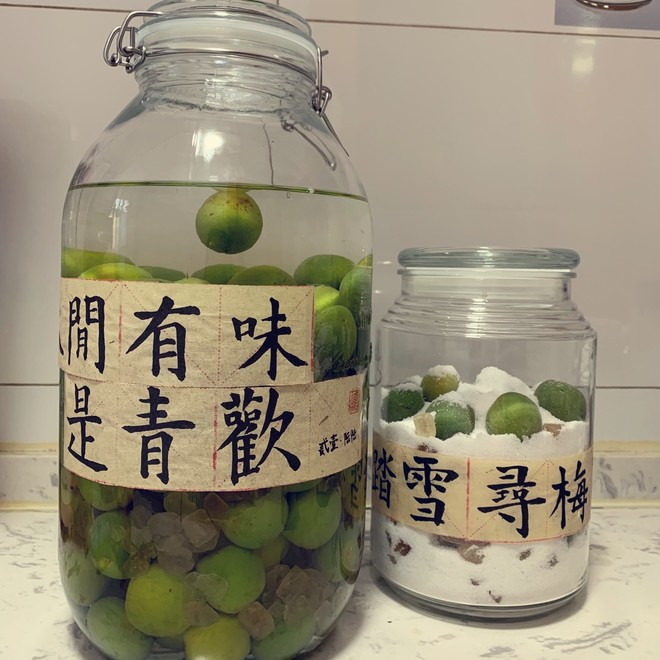 [green Plum Records] Green Plum Wine, Salted Green Plum recipe