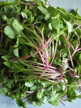 Stir-fried Radish Seedlings recipe