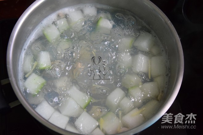 Winter Melon Haibai Soup recipe