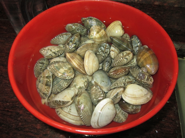 Garlic Clam recipe