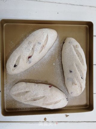 Oil-free Low-sugar Cranberry Walnut Soft European recipe