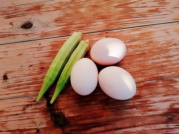 Okra Steamed Custard recipe