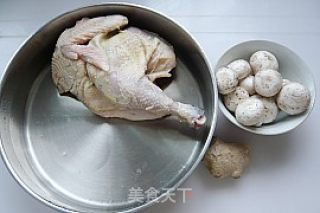 Mushroom Chicken Soup recipe