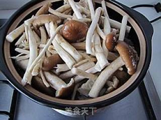 【flying Birds and Animals】----tea Tree Mushroom and Beef Bone Pot recipe