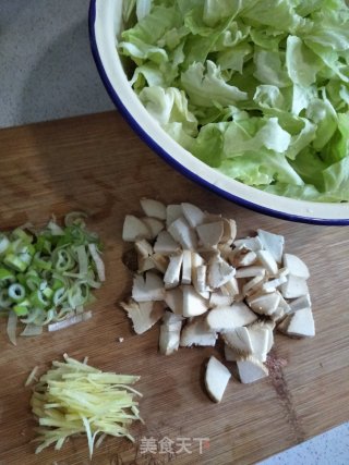 Stir-fried Cabbage with Pleurotus Eryngii recipe