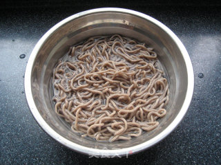 Shrimp Soba Cold Noodles recipe