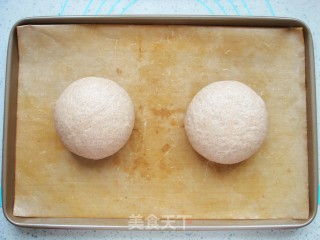 Farmer Slow Rye Soft European Buns recipe