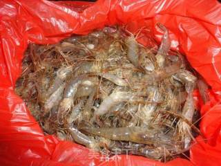Fried River Prawns recipe