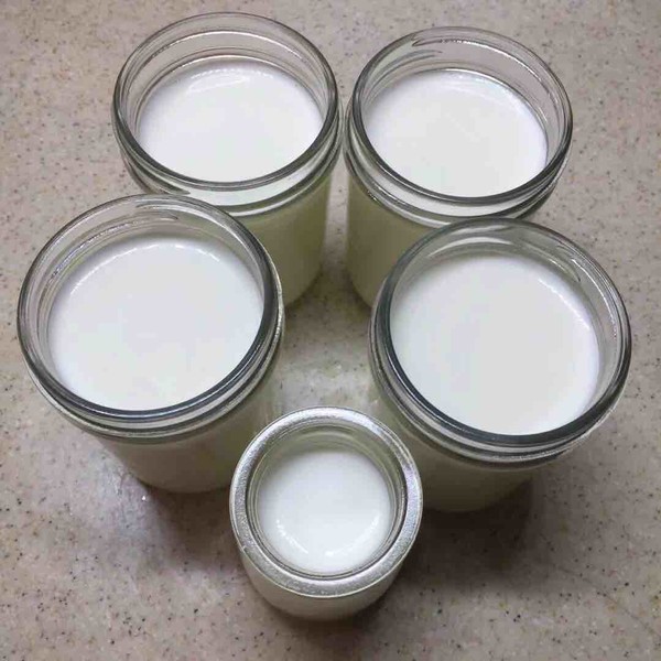 Homemade Yogurt recipe