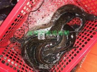 Steamed Wild Sea Eel recipe