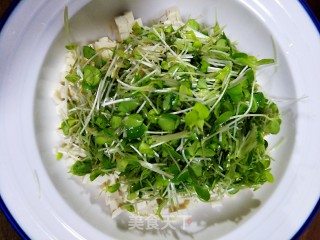Tofu Mixed with Toon Sprouts recipe