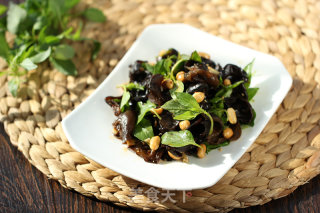 Nepeta Mixed Fungus recipe