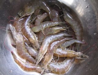 Chinese Wolfberry Sesame Shrimp recipe
