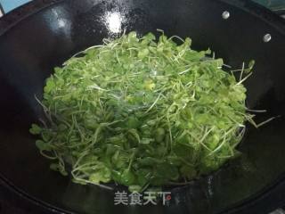 Radish Sprouts recipe