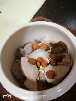 Mangosteen Seed and Tangerine Peel Lean Meat Soup recipe