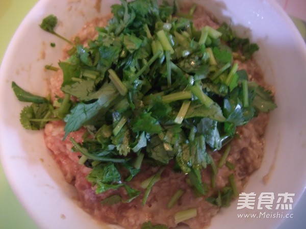 Cantonese Beef Balls recipe