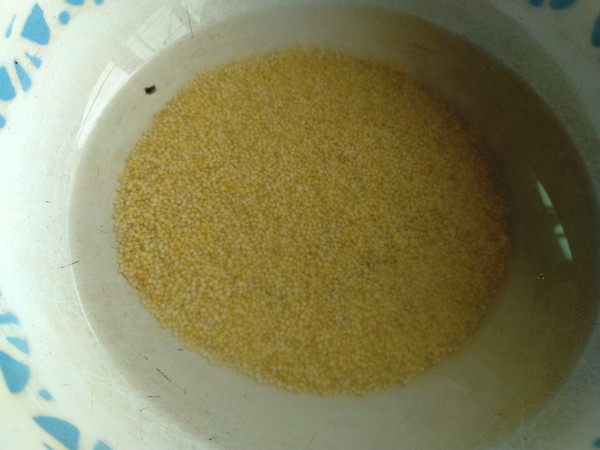 Sea Cucumber Millet Congee recipe