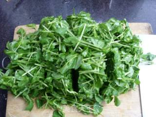 Verdant-fried Pea Sprouts recipe
